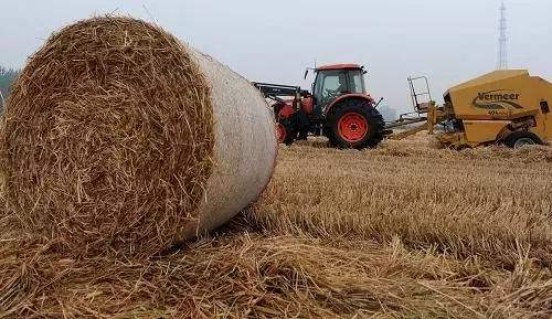 生物质资源丰富 生物质午夜福利WWW在线观看械